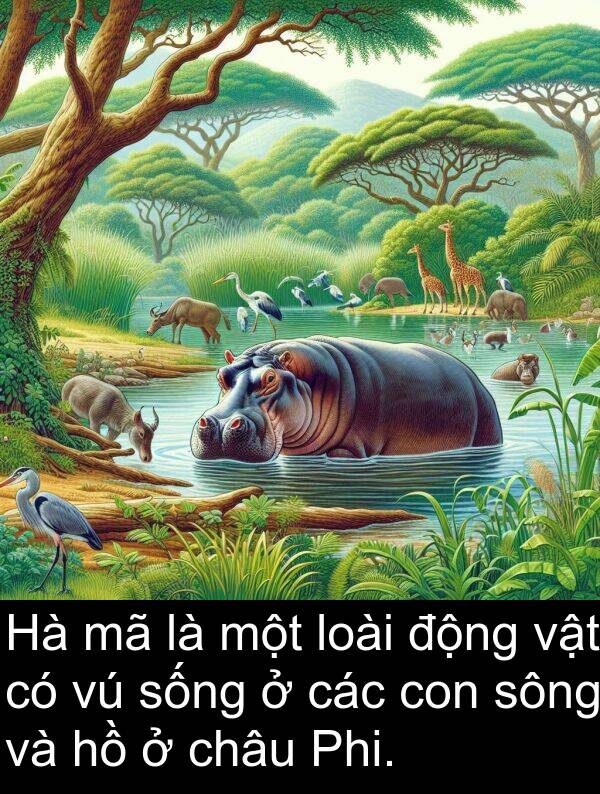 châu: Hà mã là một loài động vật có vú sống ở các con sông và hồ ở châu Phi.