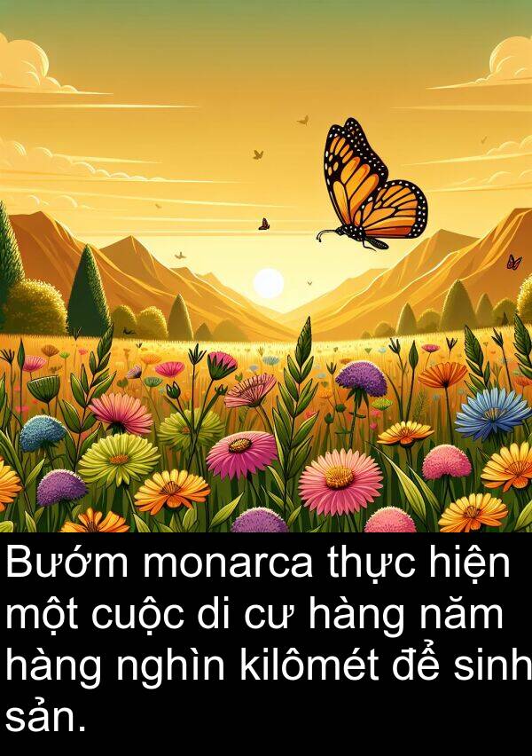 nghìn: Bướm monarca thực hiện một cuộc di cư hàng năm hàng nghìn kilômét để sinh sản.