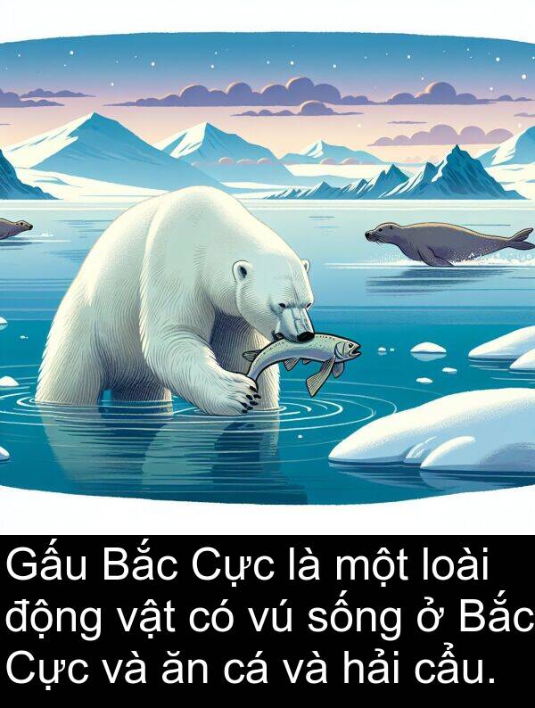 hải: Gấu Bắc Cực là một loài động vật có vú sống ở Bắc Cực và ăn cá và hải cẩu.