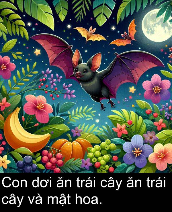 mật: Con dơi ăn trái cây ăn trái cây và mật hoa.