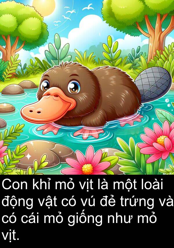 vịt: Con khỉ mỏ vịt là một loài động vật có vú đẻ trứng và có cái mỏ giống như mỏ vịt.