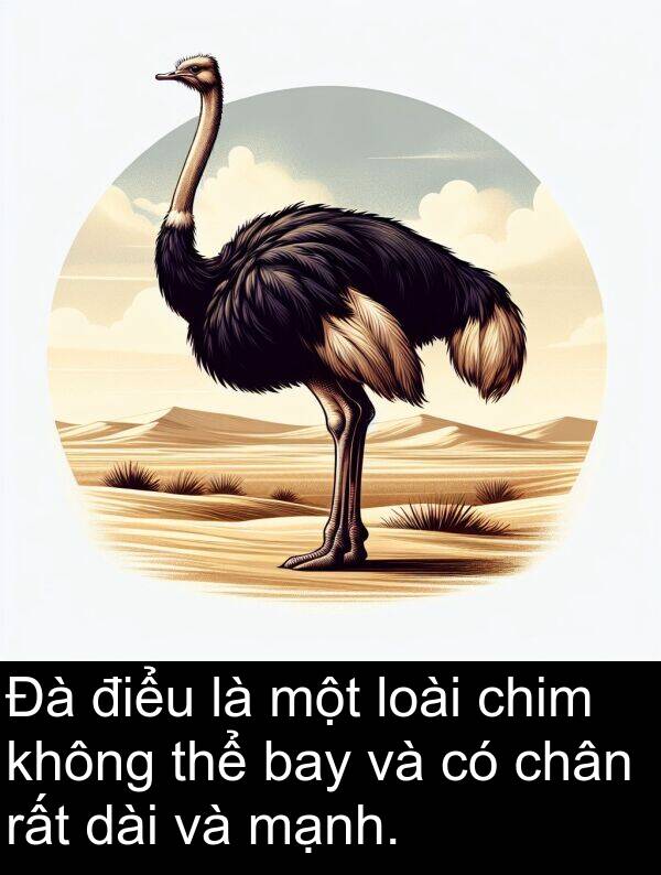 điểu: Đà điểu là một loài chim không thể bay và có chân rất dài và mạnh.