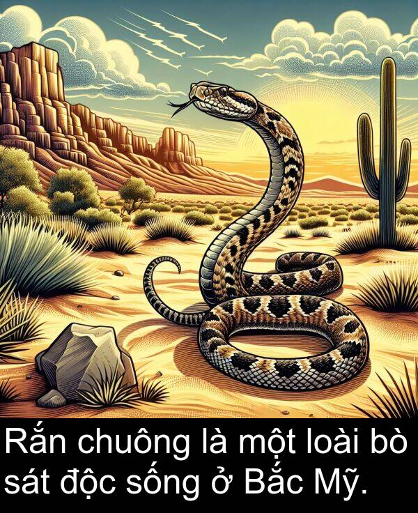 độc: Rắn chuông là một loài bò sát độc sống ở Bắc Mỹ.