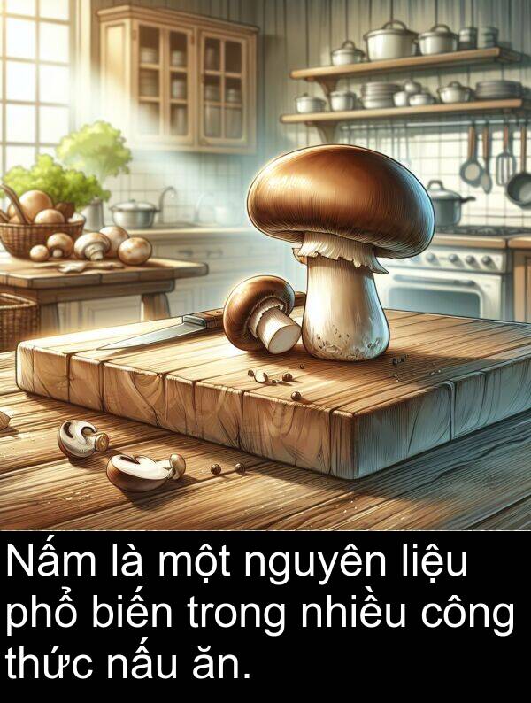 phổ: Nấm là một nguyên liệu phổ biến trong nhiều công thức nấu ăn.