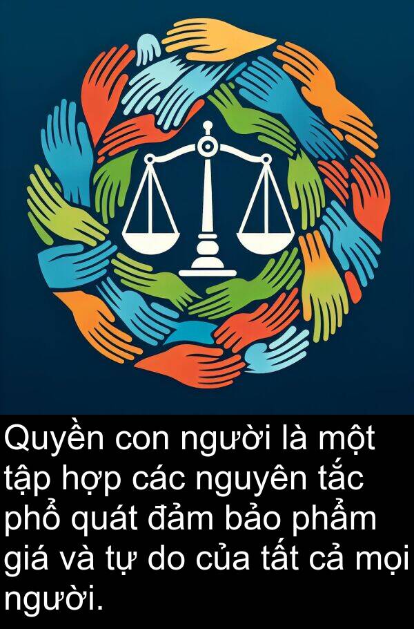 đảm: Quyền con người là một tập hợp các nguyên tắc phổ quát đảm bảo phẩm giá và tự do của tất cả mọi người.