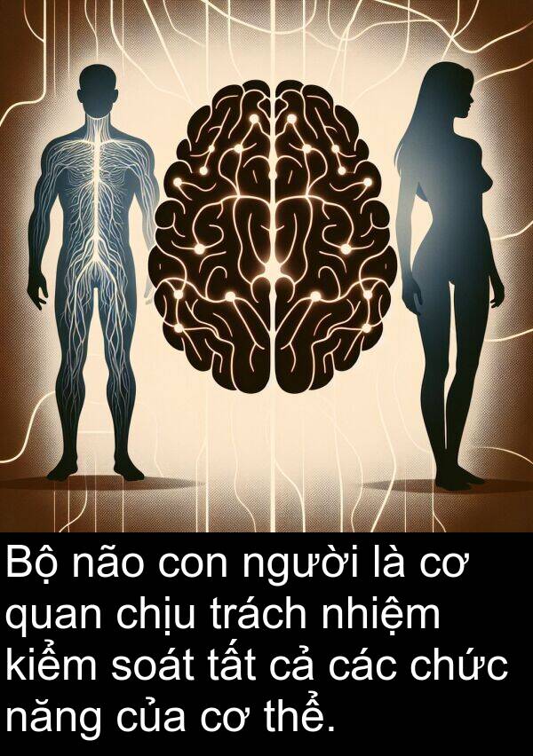 soát: Bộ não con người là cơ quan chịu trách nhiệm kiểm soát tất cả các chức năng của cơ thể.
