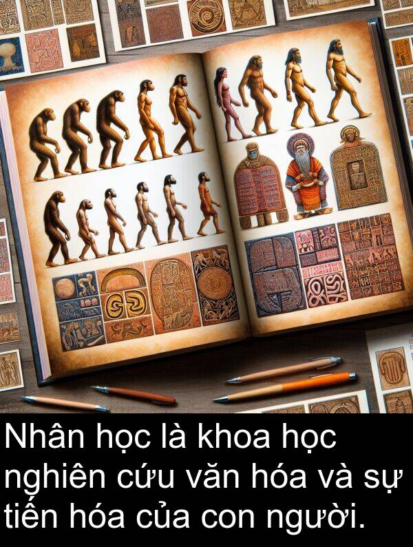 tiến: Nhân học là khoa học nghiên cứu văn hóa và sự tiến hóa của con người.