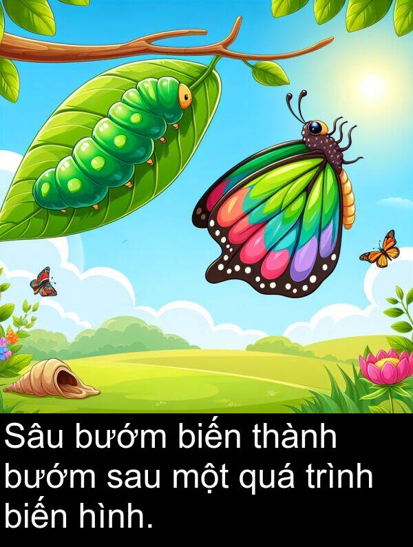 biến: Sâu bướm biến thành bướm sau một quá trình biến hình.