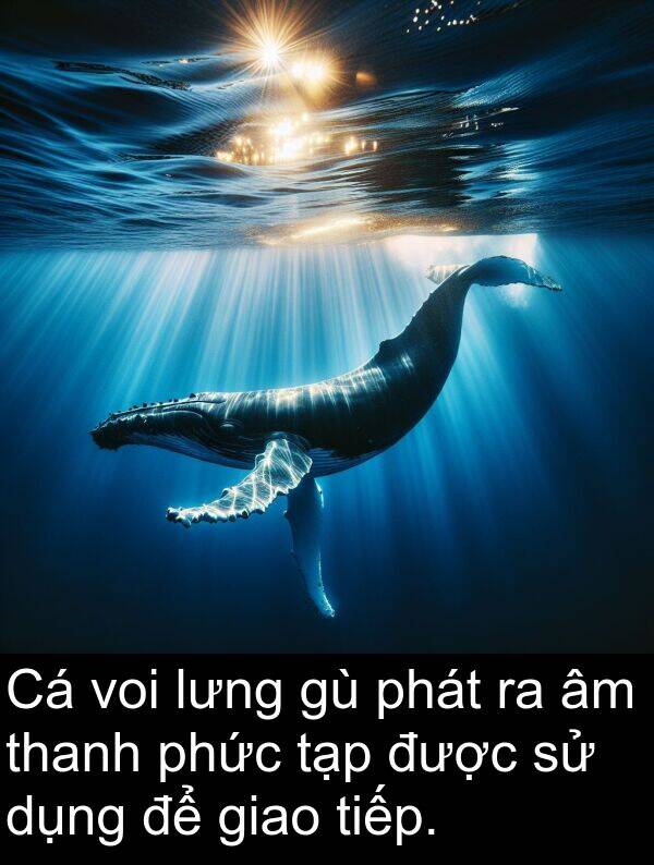 thanh: Cá voi lưng gù phát ra âm thanh phức tạp được sử dụng để giao tiếp.