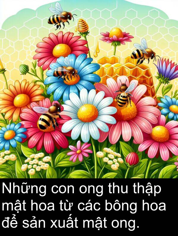 bông: Những con ong thu thập mật hoa từ các bông hoa để sản xuất mật ong.