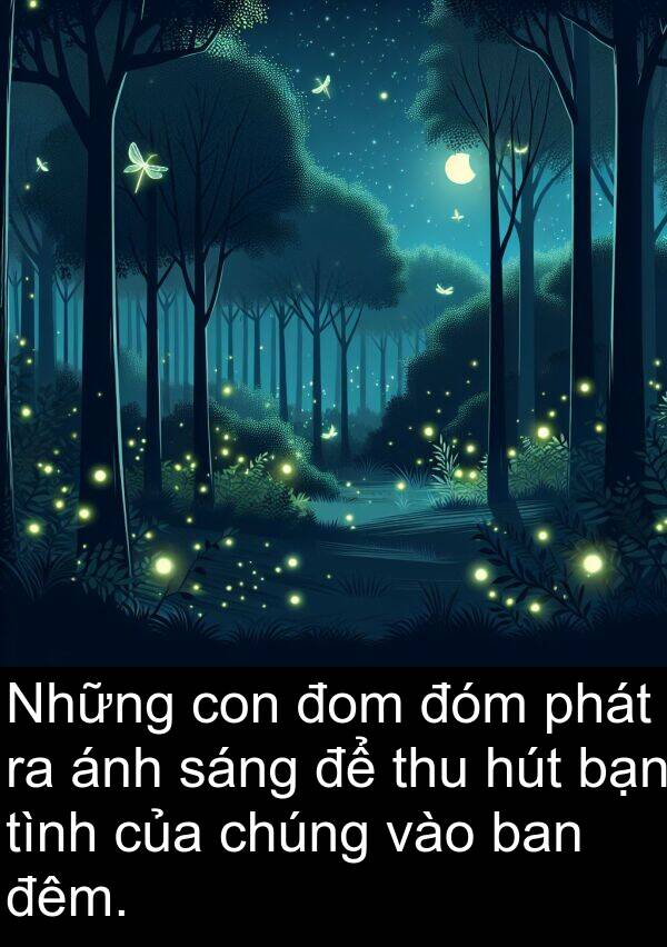 đom: Những con đom đóm phát ra ánh sáng để thu hút bạn tình của chúng vào ban đêm.