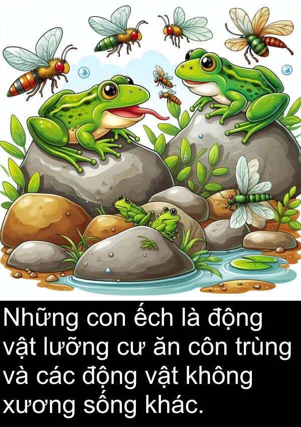 côn: Những con ếch là động vật lưỡng cư ăn côn trùng và các động vật không xương sống khác.