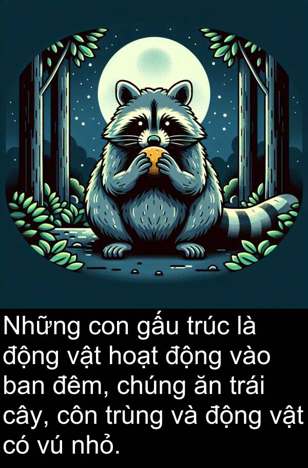 côn: Những con gấu trúc là động vật hoạt động vào ban đêm, chúng ăn trái cây, côn trùng và động vật có vú nhỏ.