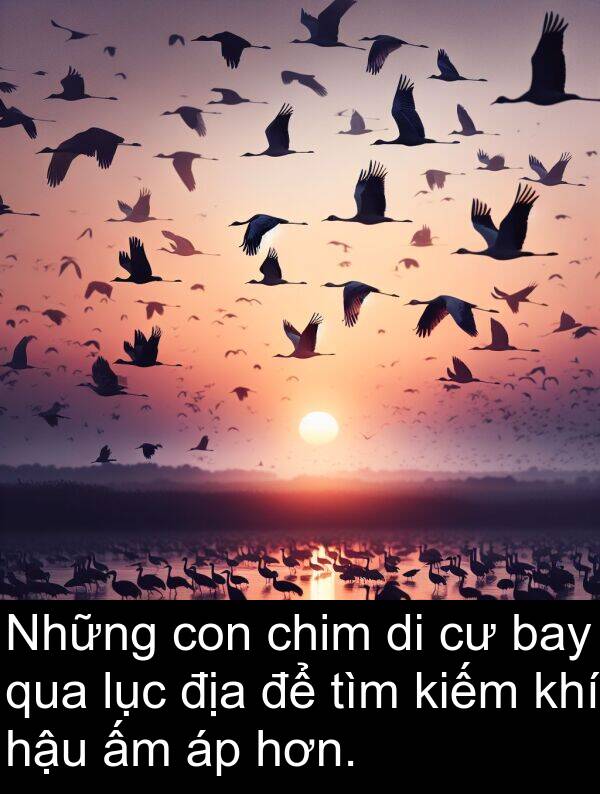 địa: Những con chim di cư bay qua lục địa để tìm kiếm khí hậu ấm áp hơn.