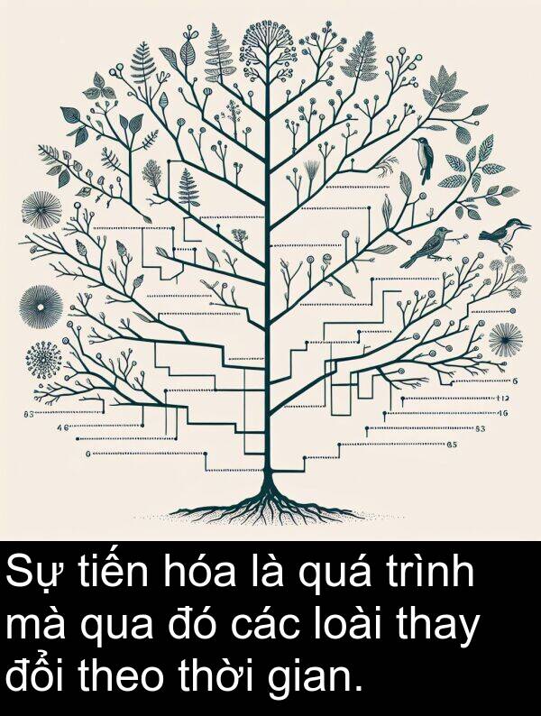 tiến: Sự tiến hóa là quá trình mà qua đó các loài thay đổi theo thời gian.