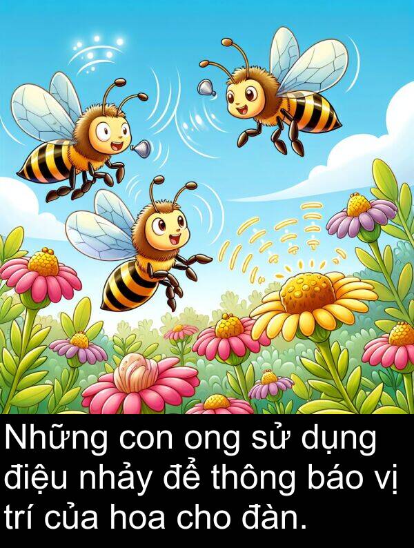 đàn: Những con ong sử dụng điệu nhảy để thông báo vị trí của hoa cho đàn.