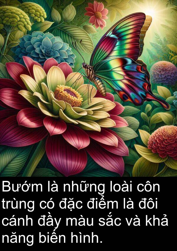 đôi: Bướm là những loài côn trùng có đặc điểm là đôi cánh đầy màu sắc và khả năng biến hình.