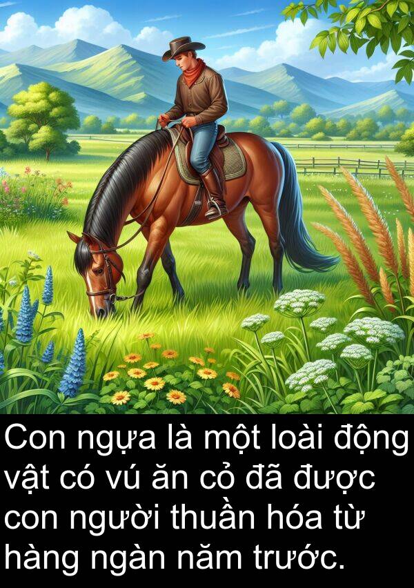 thuần: Con ngựa là một loài động vật có vú ăn cỏ đã được con người thuần hóa từ hàng ngàn năm trước.