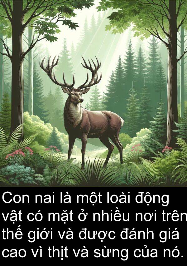 đánh: Con nai là một loài động vật có mặt ở nhiều nơi trên thế giới và được đánh giá cao vì thịt và sừng của nó.