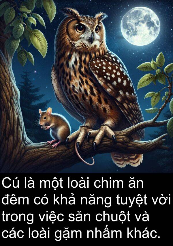chuột: Cú là một loài chim ăn đêm có khả năng tuyệt vời trong việc săn chuột và các loài gặm nhấm khác.