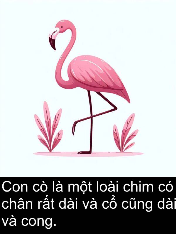 cong: Con cò là một loài chim có chân rất dài và cổ cũng dài và cong.
