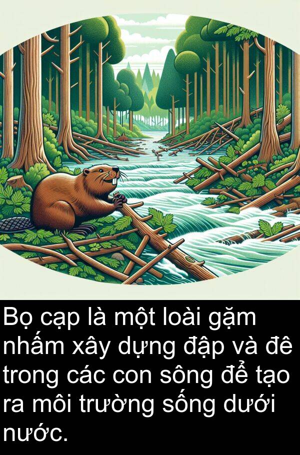 đập: Bọ cạp là một loài gặm nhấm xây dựng đập và đê trong các con sông để tạo ra môi trường sống dưới nước.
