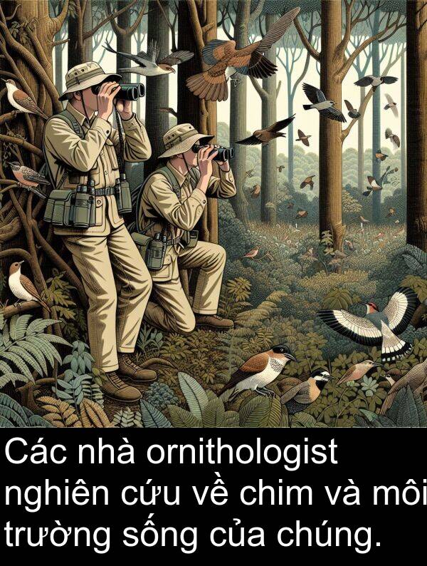 ornithologist: Các nhà ornithologist nghiên cứu về chim và môi trường sống của chúng.