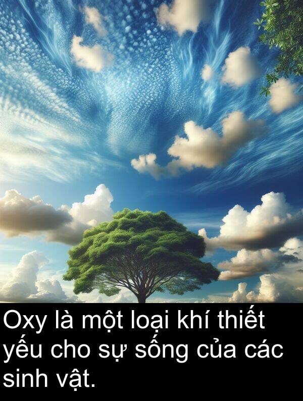 loại: Oxy là một loại khí thiết yếu cho sự sống của các sinh vật.