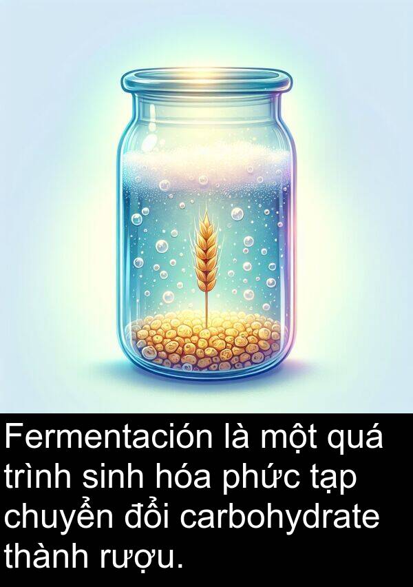 carbohydrate: Fermentación là một quá trình sinh hóa phức tạp chuyển đổi carbohydrate thành rượu.
