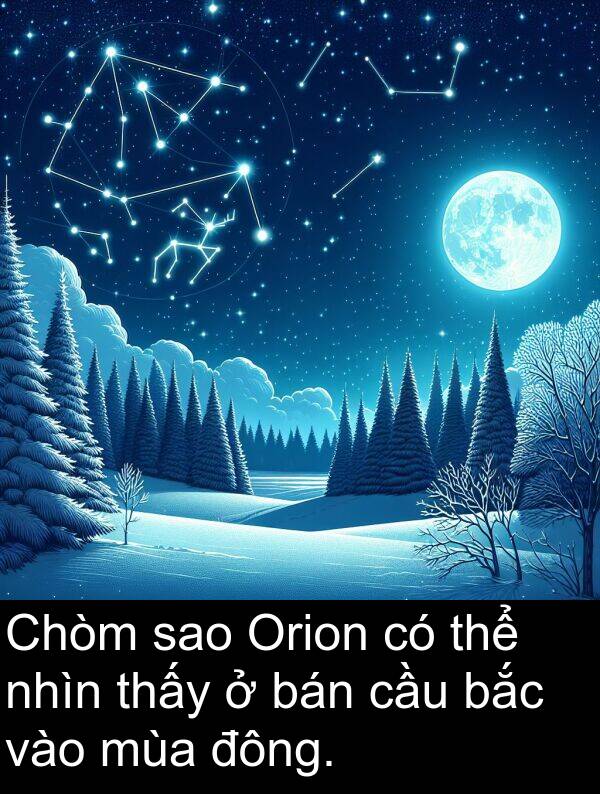 đông: Chòm sao Orion có thể nhìn thấy ở bán cầu bắc vào mùa đông.