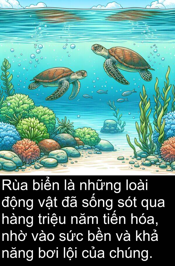 nhờ: Rùa biển là những loài động vật đã sống sót qua hàng triệu năm tiến hóa, nhờ vào sức bền và khả năng bơi lội của chúng.