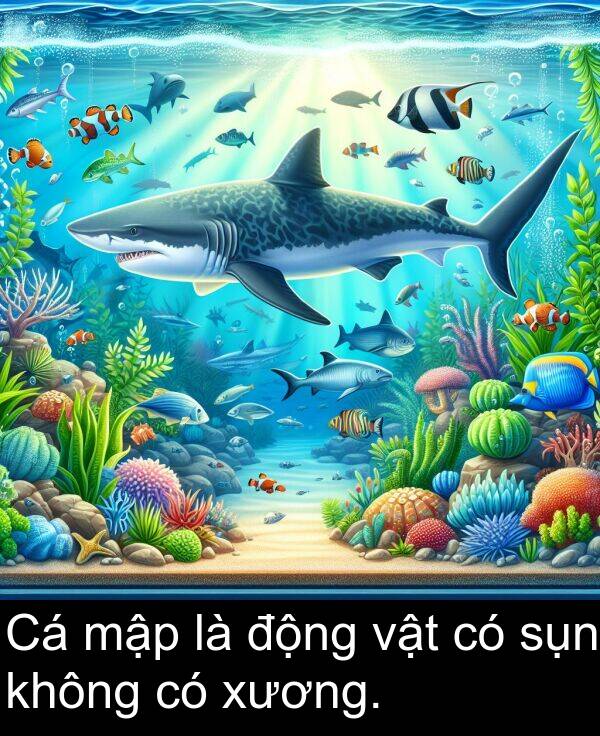 mập: Cá mập là động vật có sụn không có xương.