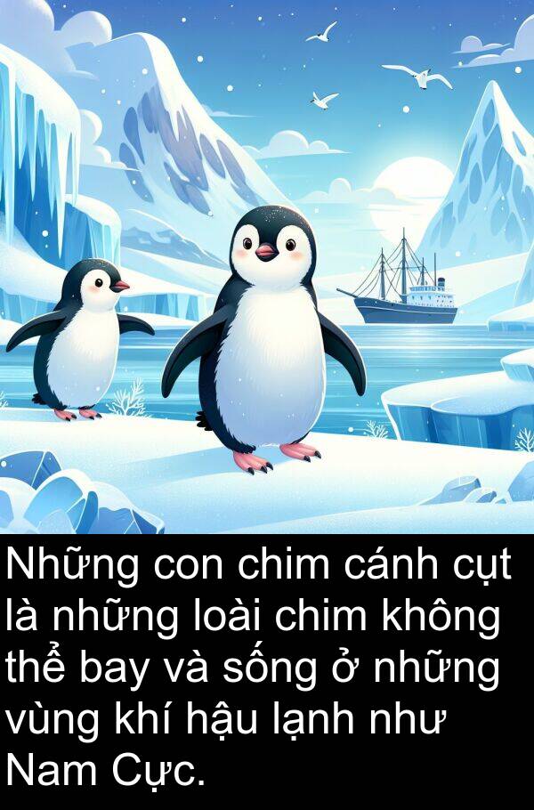 cụt: Những con chim cánh cụt là những loài chim không thể bay và sống ở những vùng khí hậu lạnh như Nam Cực.
