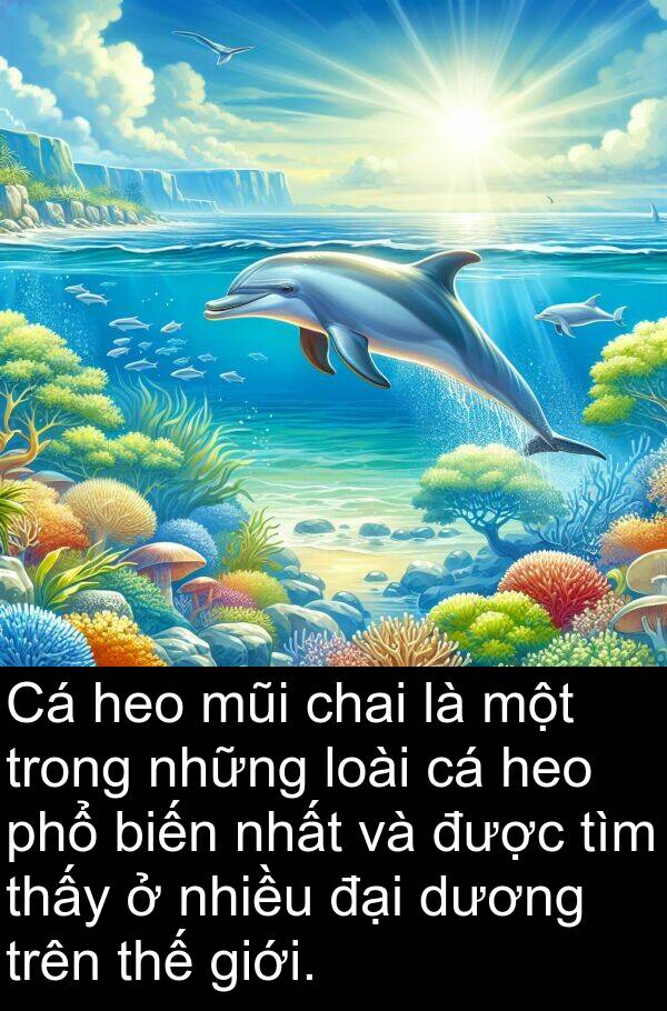chai: Cá heo mũi chai là một trong những loài cá heo phổ biến nhất và được tìm thấy ở nhiều đại dương trên thế giới.