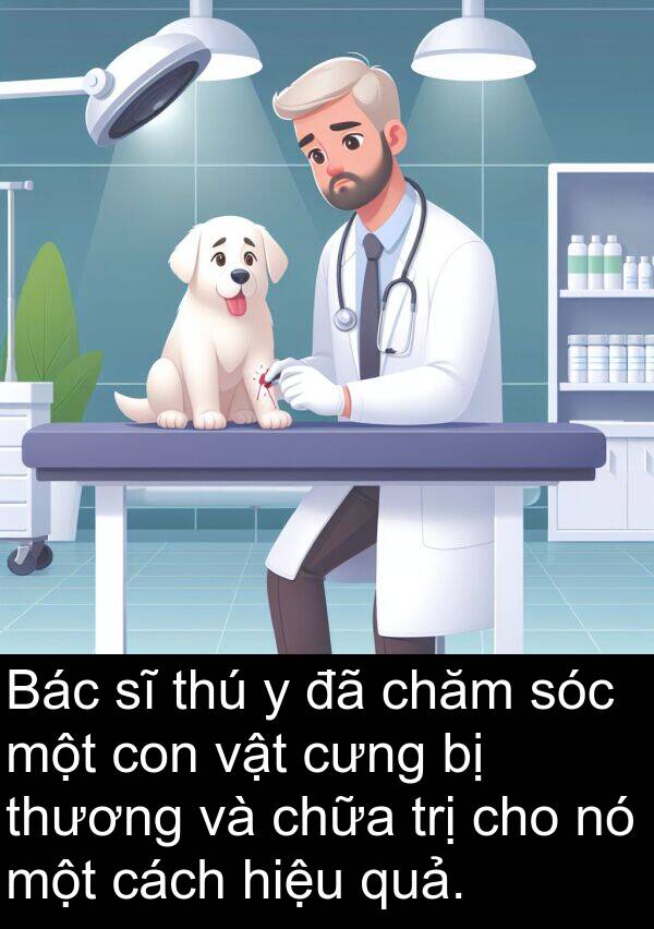chăm: Bác sĩ thú y đã chăm sóc một con vật cưng bị thương và chữa trị cho nó một cách hiệu quả.
