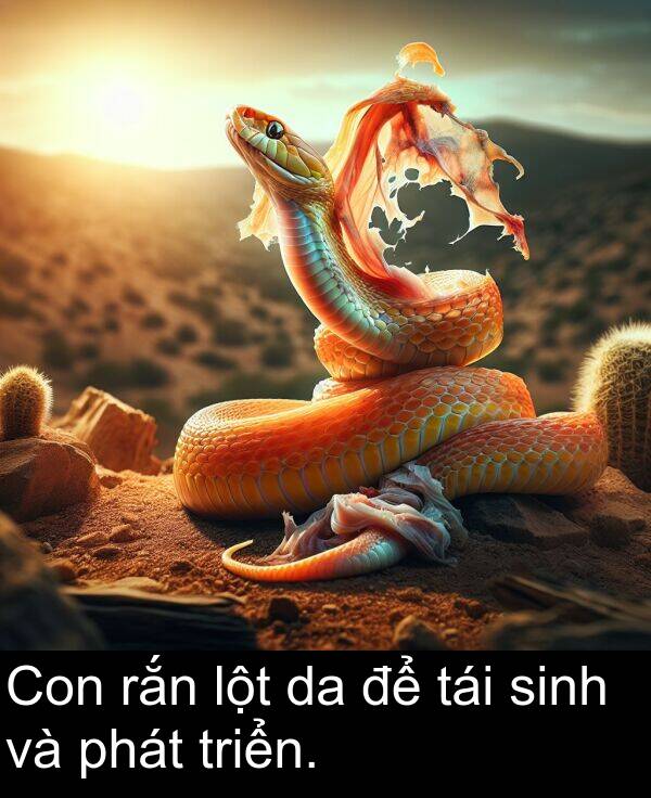 tái: Con rắn lột da để tái sinh và phát triển.