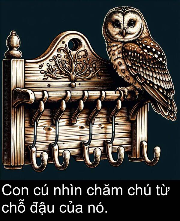 nhìn: Con cú nhìn chăm chú từ chỗ đậu của nó.