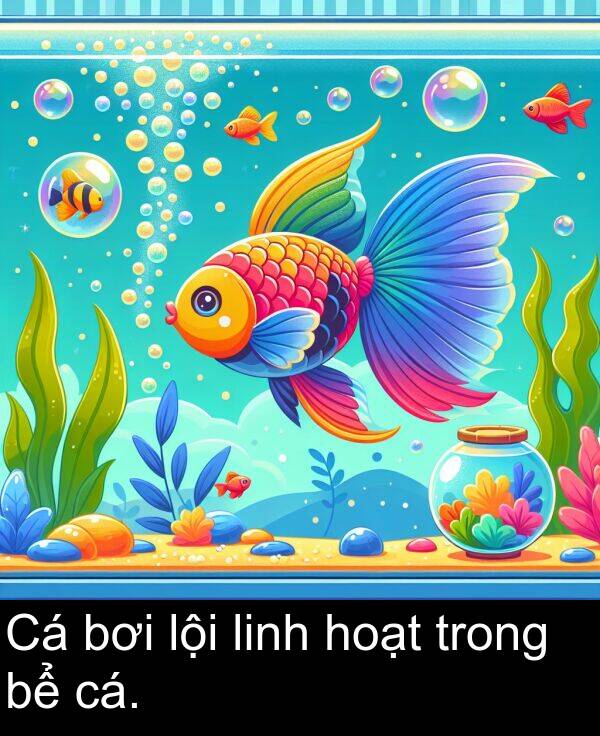linh: Cá bơi lội linh hoạt trong bể cá.