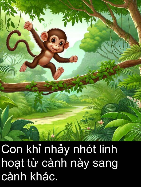 linh: Con khỉ nhảy nhót linh hoạt từ cành này sang cành khác.