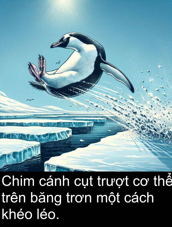 cụt: Chim cánh cụt trượt cơ thể trên băng trơn một cách khéo léo.