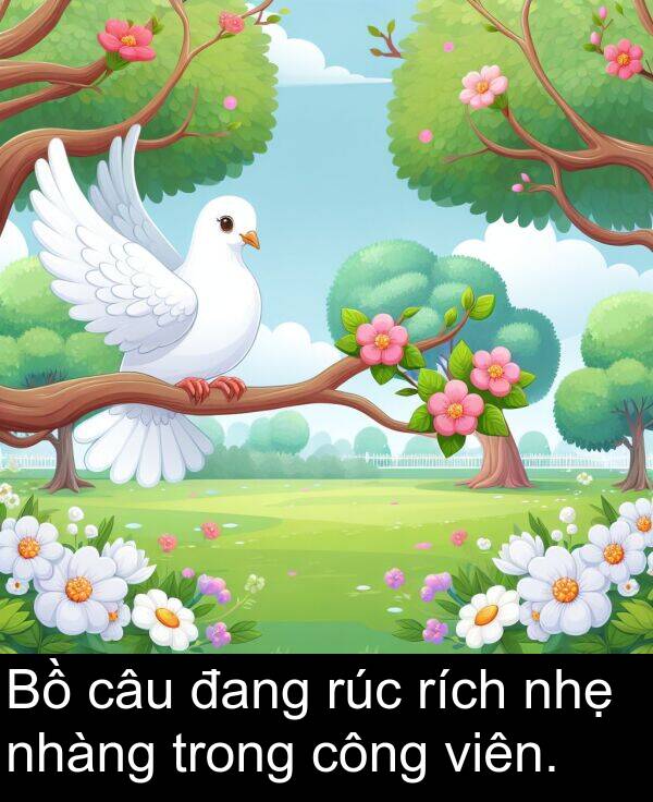 rích: Bồ câu đang rúc rích nhẹ nhàng trong công viên.