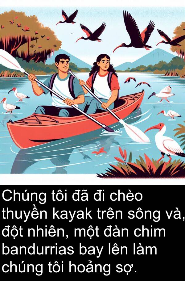 đột: Chúng tôi đã đi chèo thuyền kayak trên sông và, đột nhiên, một đàn chim bandurrias bay lên làm chúng tôi hoảng sợ.