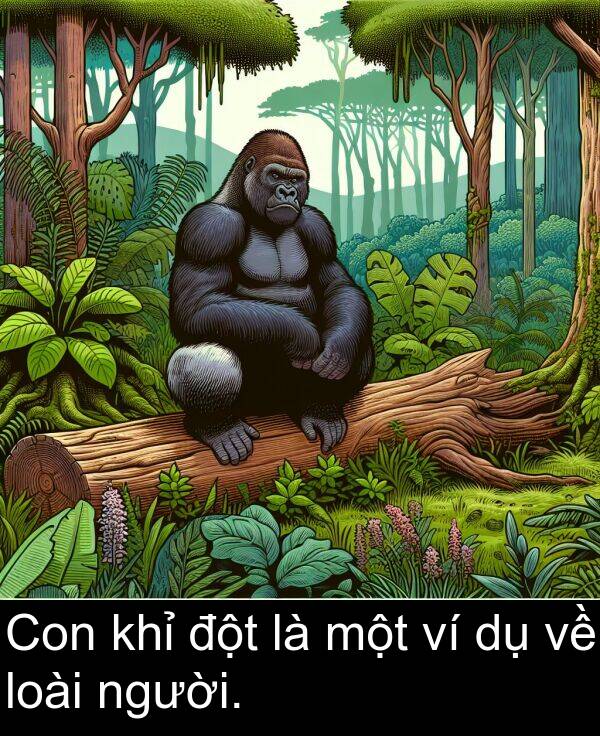 đột: Con khỉ đột là một ví dụ về loài người.