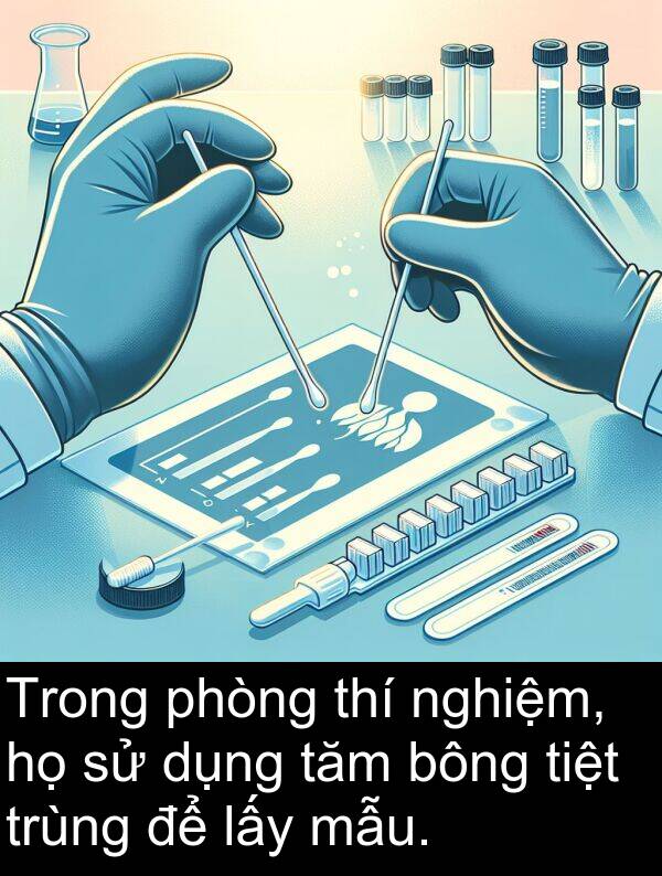 bông: Trong phòng thí nghiệm, họ sử dụng tăm bông tiệt trùng để lấy mẫu.