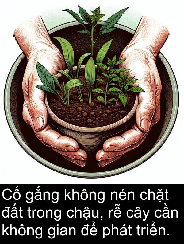 gian: Cố gắng không nén chặt đất trong chậu, rễ cây cần không gian để phát triển.