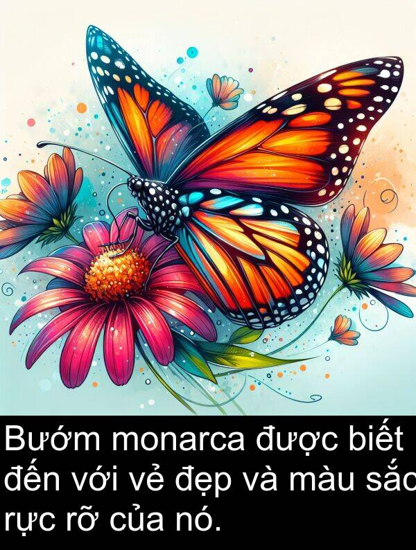nó: Bướm monarca được biết đến với vẻ đẹp và màu sắc rực rỡ của nó.