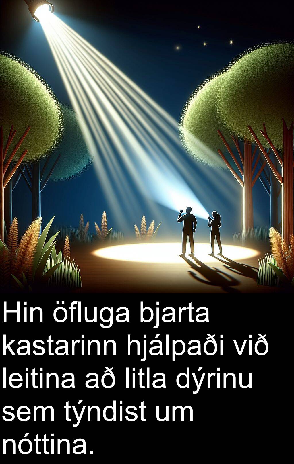 bjarta
