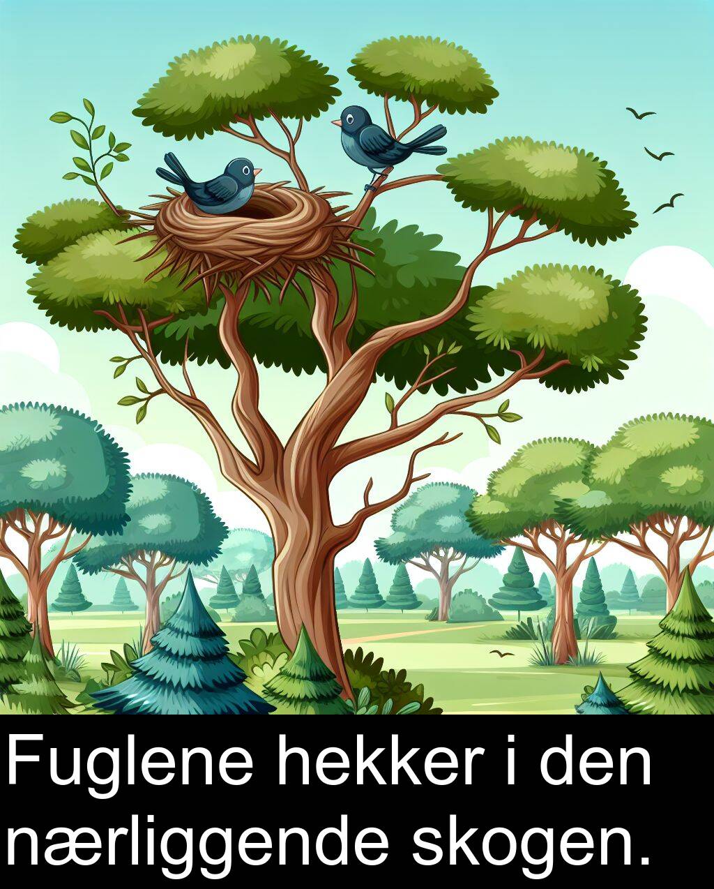 50 setninger med «skogen» — eksempler, image size:1024x1274