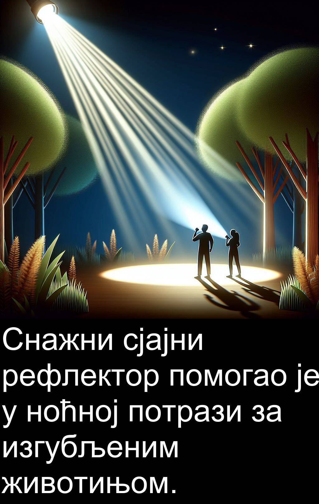 животињом
