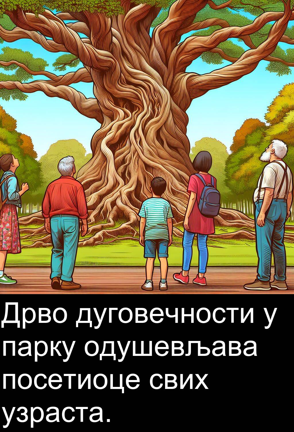 дуговечности